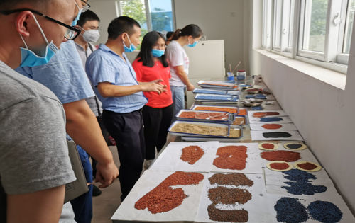Latest company news about Base industrial-universitaria-de investigación del Departamento de Materiales de la Universidad Tecnológica de Chengdu, cooperación integral con China Guangdong Materias de Construcción